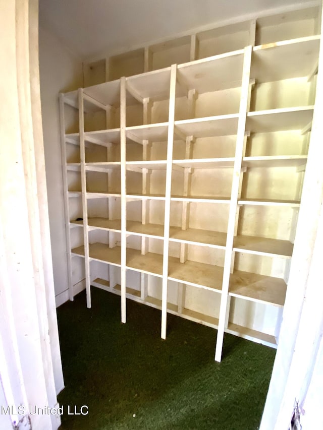 1903 Circle Dr, Picayune, MS 39466 - view of storage room
