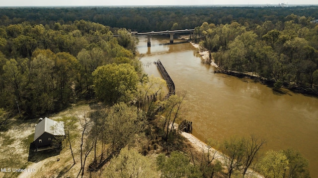 168 Adams Werner Rd, Poplarville, MS 39470 - view of property location featuring a forest, a large body of water, and a notable bridge