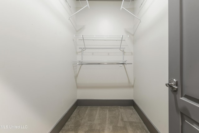 31 Poplar Cir, Gulfport, MS 39507 - spacious closet featuring carpet flooring