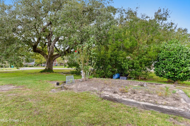 31 Poplar Cir, Gulfport, MS 39507 - view of green lawn