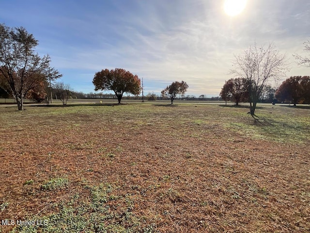 view of yard with a rural view