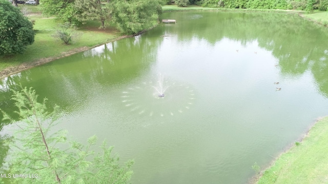 water view