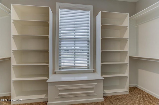 walk in closet featuring carpet flooring