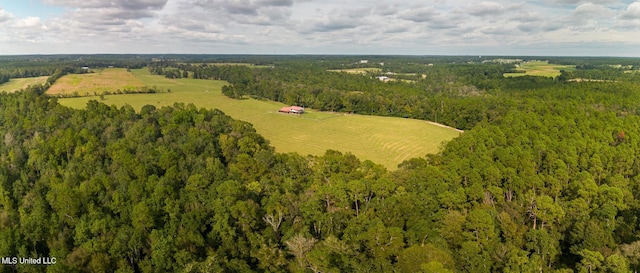 2276 Twin Creek Rd, Lucedale, MS 39452 - aerial view of a forest