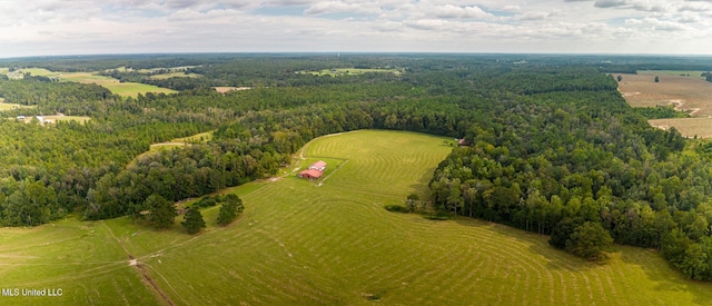 aerial view with a rural view