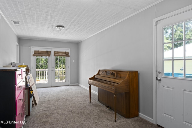 miscellaneous room with french doors, carpet flooring, and plenty of natural light