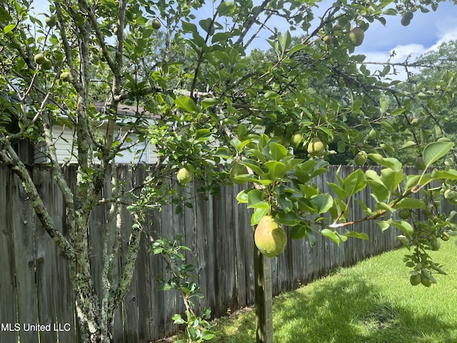 7701 Harold Ave, Moss Point, MS 39563 - view of yard