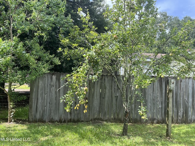 7701 Harold Ave, Moss Point, MS 39563 - view of yard