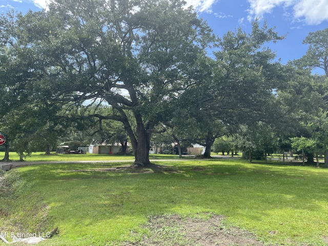 7701 Harold Ave, Moss Point, MS 39563 - view of green lawn