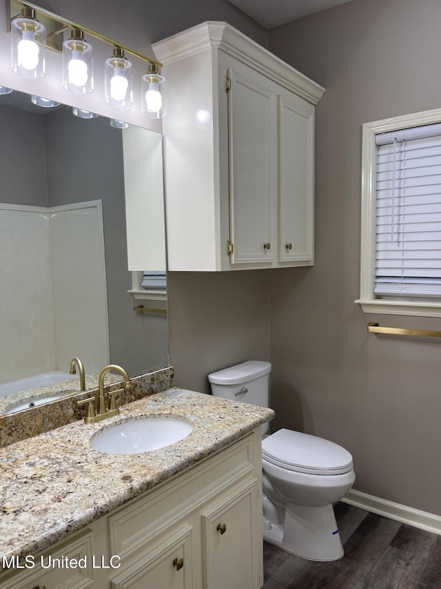 bathroom with vanity, toilet, and wood-type flooring