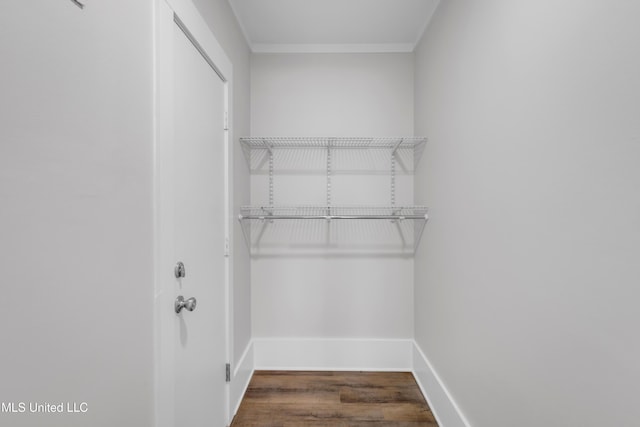 spacious closet featuring dark wood finished floors