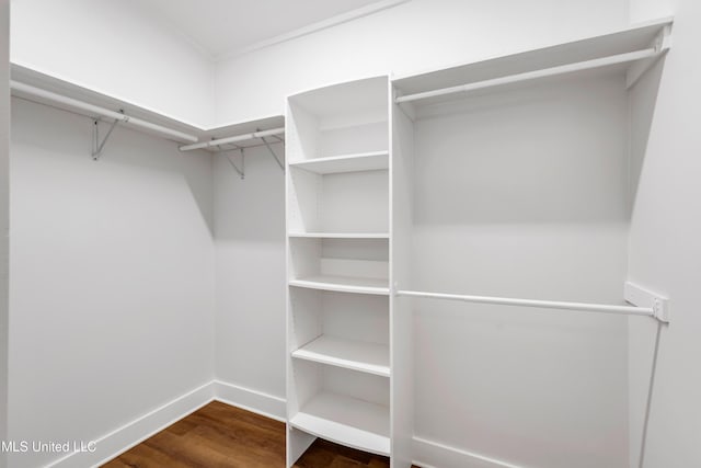 walk in closet featuring wood finished floors