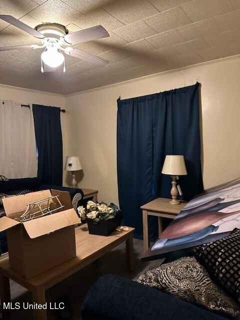 bedroom with ceiling fan