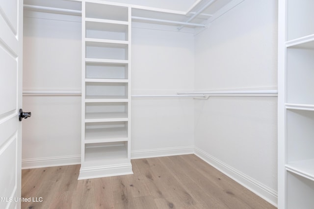 spacious closet with light hardwood / wood-style flooring