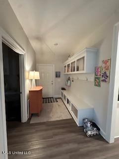 mudroom with dark hardwood / wood-style flooring