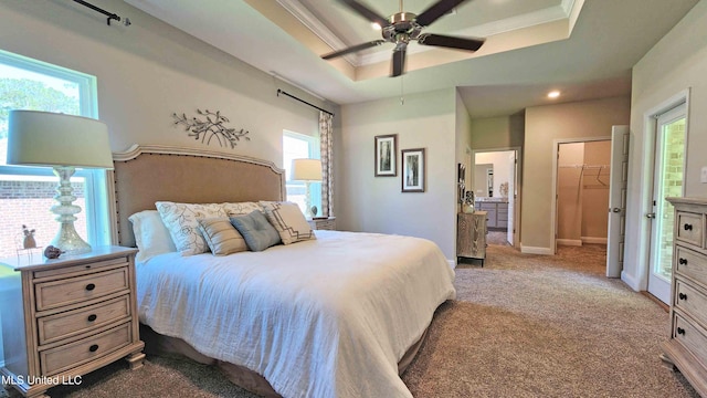 carpeted bedroom with a tray ceiling, ceiling fan, crown molding, a spacious closet, and a closet