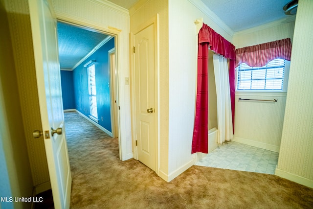 hall with crown molding, a wealth of natural light, and carpet floors