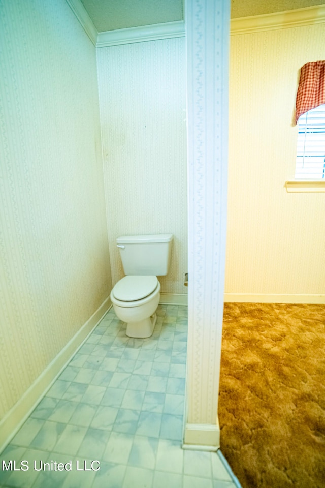 bathroom featuring toilet and crown molding