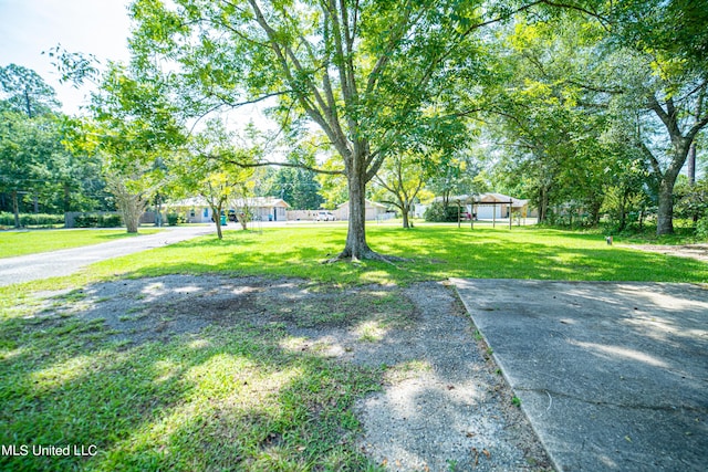 view of yard featuring a carport