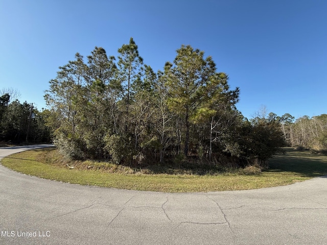 1324 Paani Ct, Diamondhead MS, 39525 land for sale