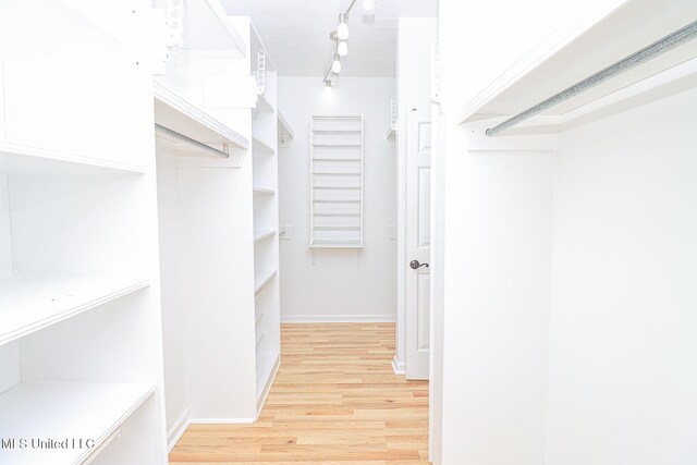 spacious closet featuring light wood-style flooring