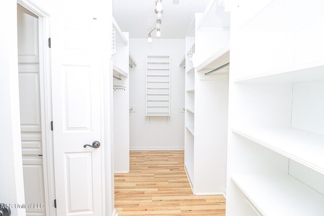 walk in closet featuring light wood-style flooring