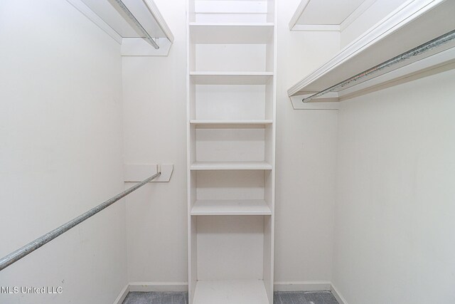 view of walk in closet