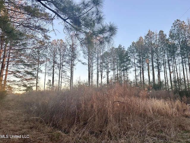 view of nature at dusk