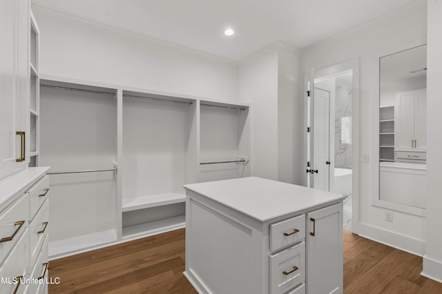 spacious closet featuring dark hardwood / wood-style floors