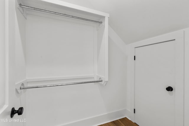 spacious closet with wood-type flooring