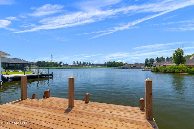 dock area with a water view