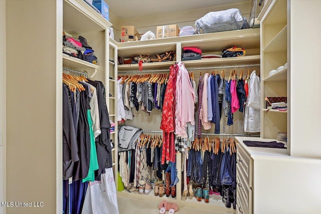 view of spacious closet