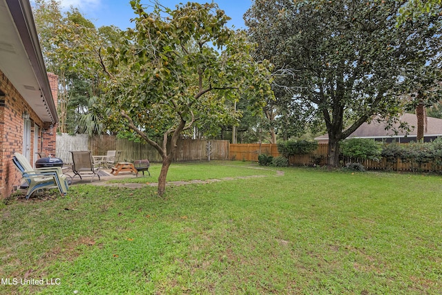 view of yard featuring a patio area