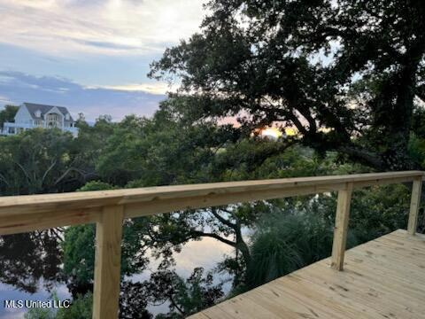 dock area featuring a wooden deck