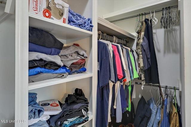449 Abbey Woods, Brandon, MS 39047 - view of closet