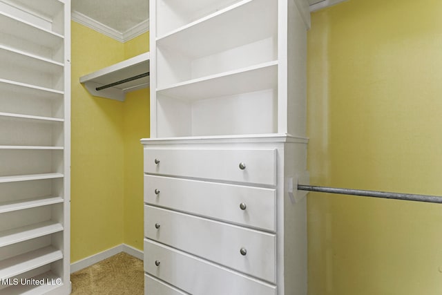 walk in closet featuring light colored carpet