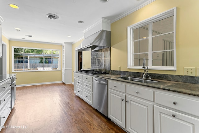 kitchen with white cabinetry, sink, exhaust hood, stainless steel appliances, and crown molding