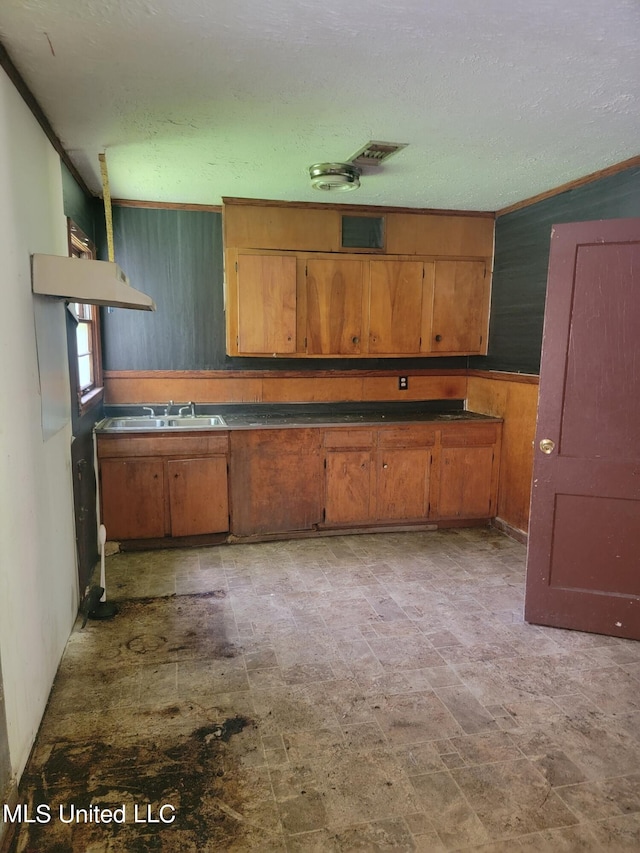 kitchen with ornamental molding and sink