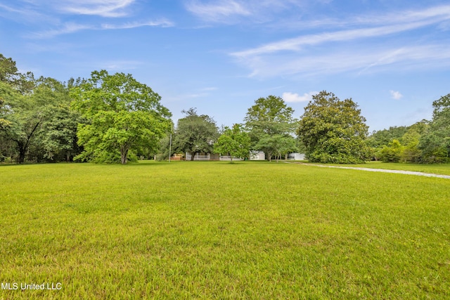 16609 Old River Rd, Vancleave, MS 39565 - view of grassy yard