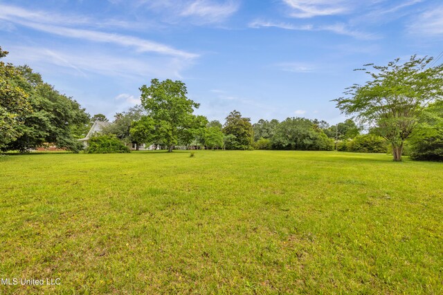 16609 Old River Rd, Vancleave, MS 39565 - view of green lawn