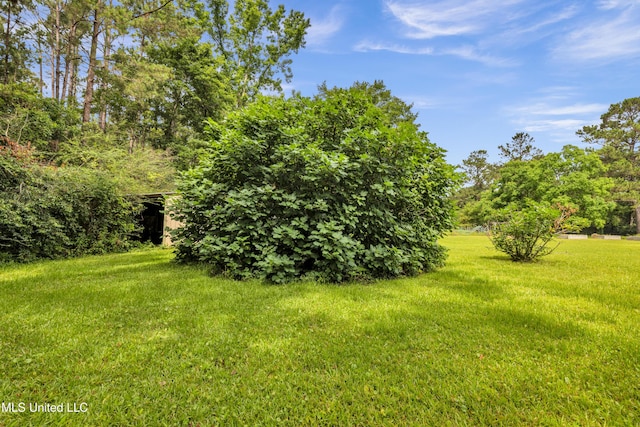 16609 Old River Rd, Vancleave, MS 39565 - view of green lawn