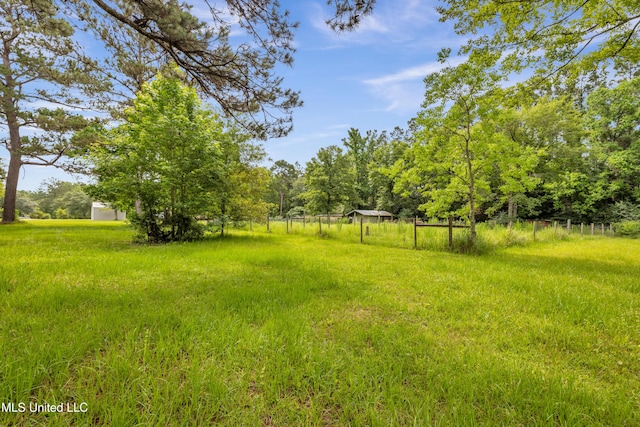 16609 Old River Rd, Vancleave, MS 39565 - view of yard