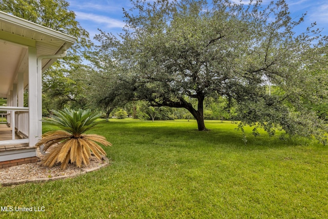 16609 Old River Rd, Vancleave, MS 39565 - view of grassy yard featuring view of scattered trees