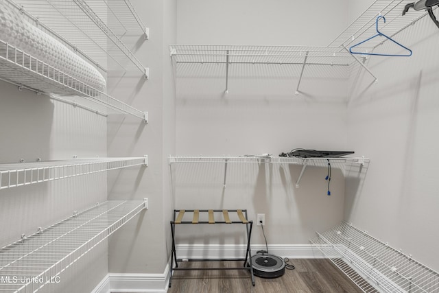 spacious closet with wood-type flooring