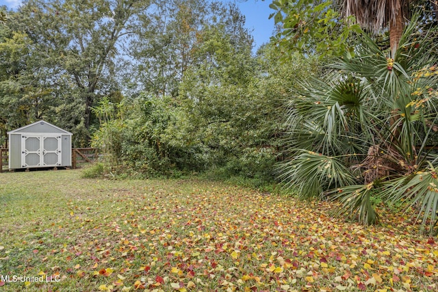 view of yard with a storage shed