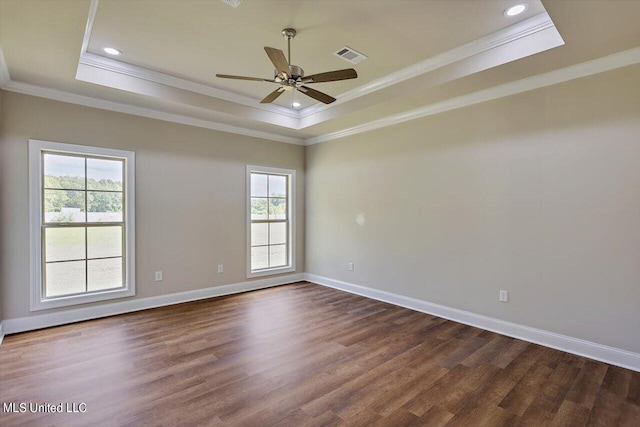 spare room featuring a tray ceiling, a healthy amount of sunlight, and dark hardwood / wood-style flooring