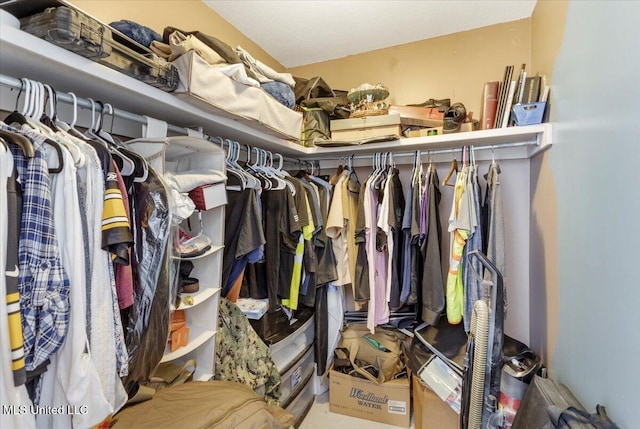 view of spacious closet