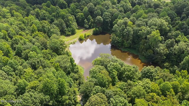 175 Poplar Springs Rd, Cascilla, MS 38920