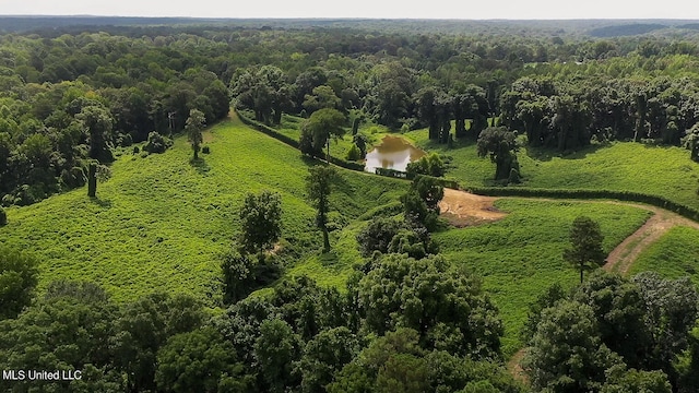 175 Poplar Springs Rd, Cascilla, MS 38920