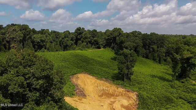 175 Poplar Springs Rd, Cascilla, MS 38920
